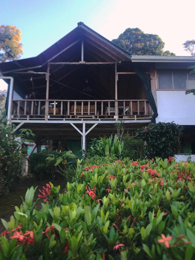 Bed and Breakfast Casa Horizontes Corcovado Drakes Bay Exterior foto