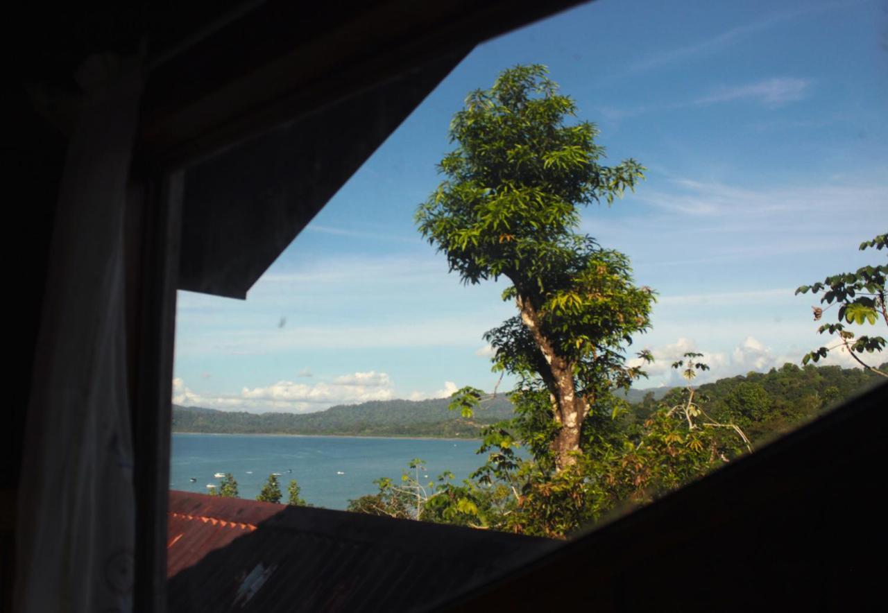 Bed and Breakfast Casa Horizontes Corcovado Drakes Bay Exterior foto