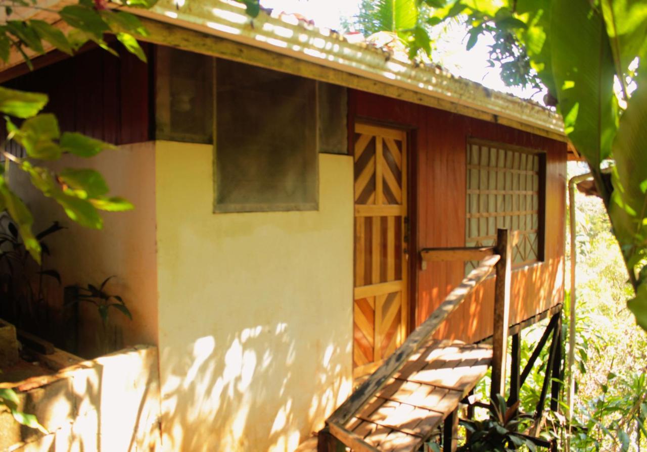 Bed and Breakfast Casa Horizontes Corcovado Drakes Bay Exterior foto
