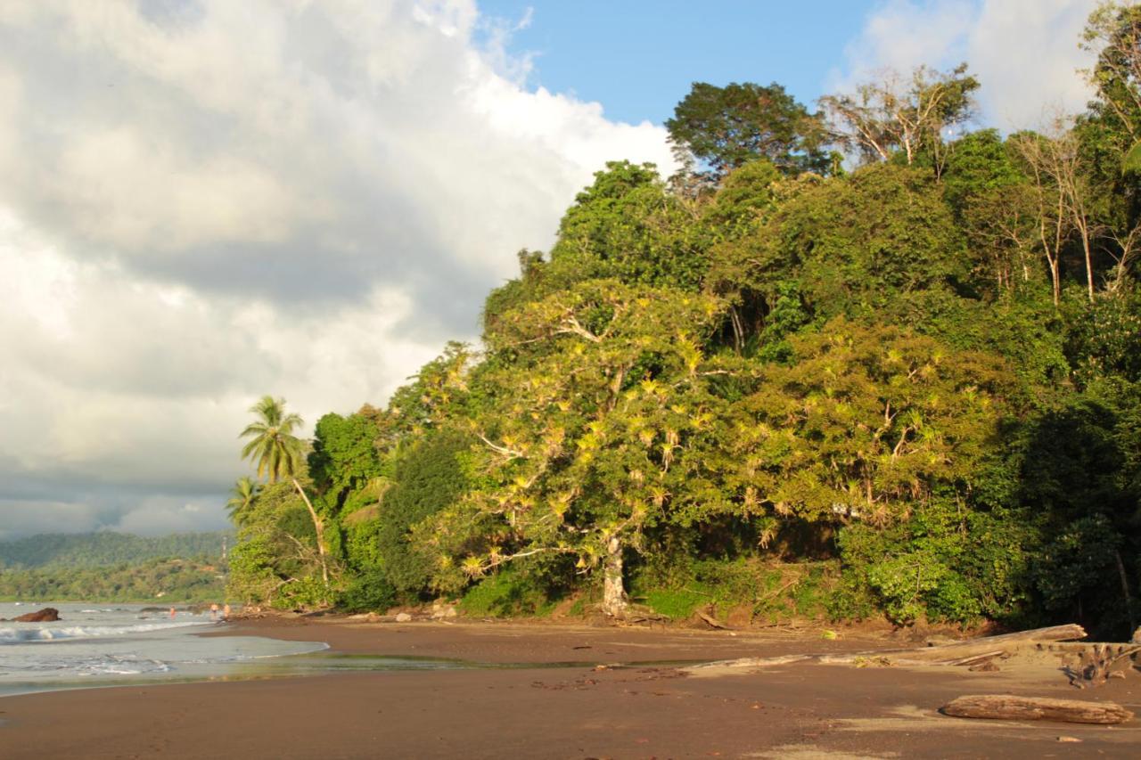Bed and Breakfast Casa Horizontes Corcovado Drakes Bay Exterior foto