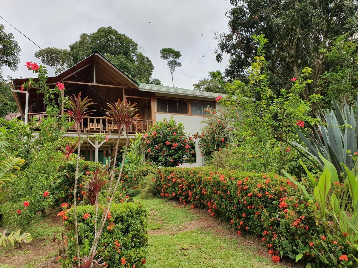 Bed and Breakfast Casa Horizontes Corcovado Drakes Bay Exterior foto